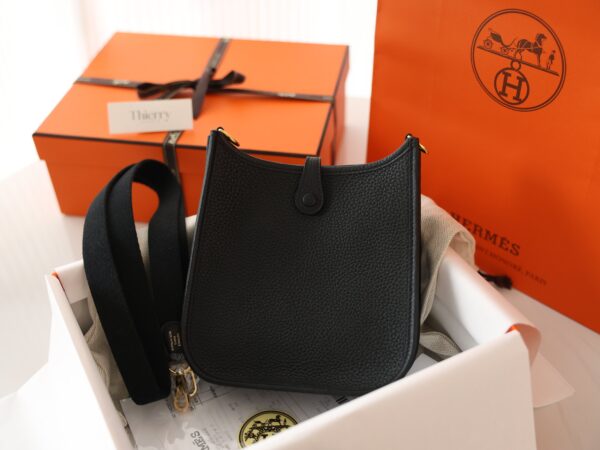Evelyne Mini Clemence Black GHW