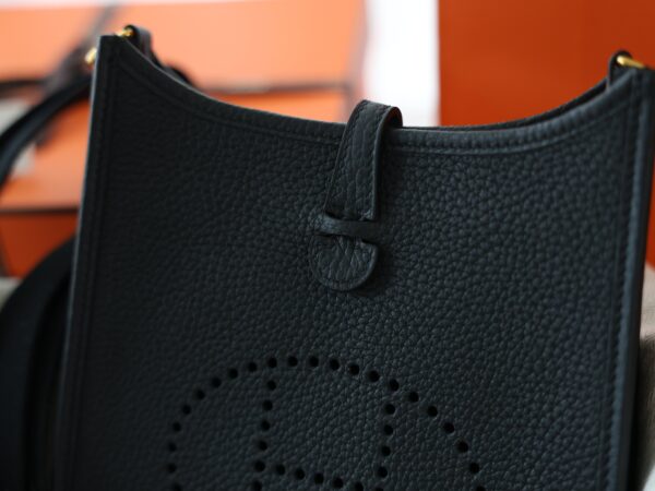 Evelyne Mini Clemence Black GHW