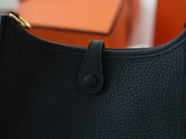 Evelyne Mini Clemence Black GHW