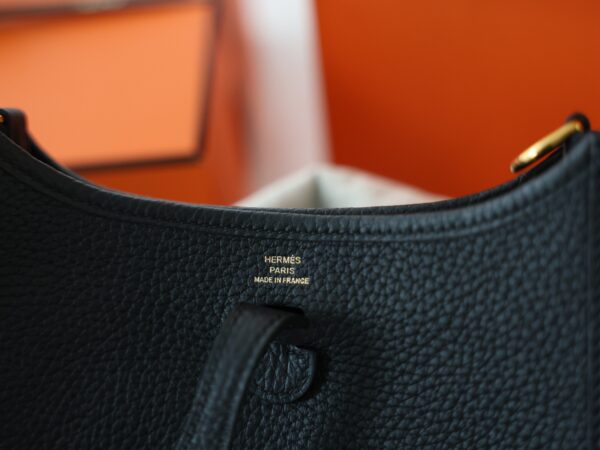 Evelyne Mini Clemence Black GHW