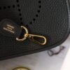 Evelyne Mini Clemence Black GHW