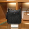 Evelyne Mini Clemence Black PHW