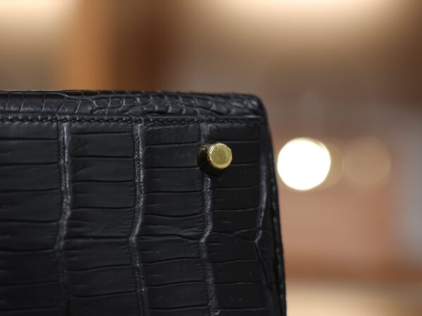 Kelly 25 Matte Porosus Black GHW