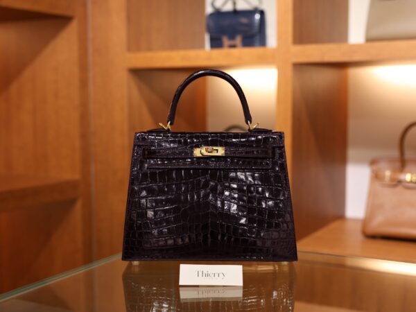 켈리 25 샤이니 닐로티쿠스 오베르진 금장 001_139A6982 Kelly 25 Shiny Niloticus Aubergine GHW