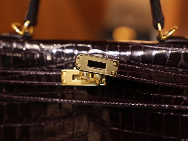 Kelly 25 Shiny Niloticus Aubergine GHW