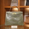 Kelly 28 Shiny Niloticus Gris Tourterelle GHW