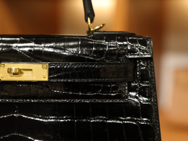 Kelly 28 Shiny Niloticus Black GHW