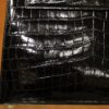 Kelly 28 Shiny Niloticus Black GHW